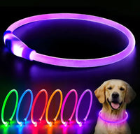 Dogs